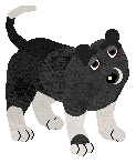 Black mutt with white markings standing.