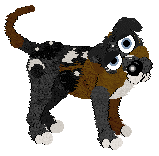 Brown and black mutt with white markings standing.