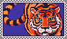 Orange tiger on dark blue-purple.
